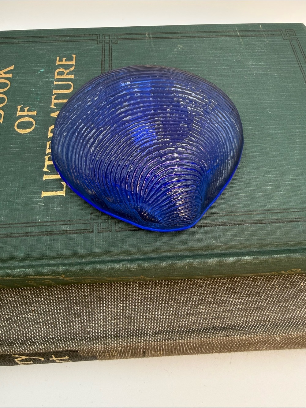 Cobalt Blue Clam Seashell Art Glass Ocean Nautical Beach House Bathroom Decor